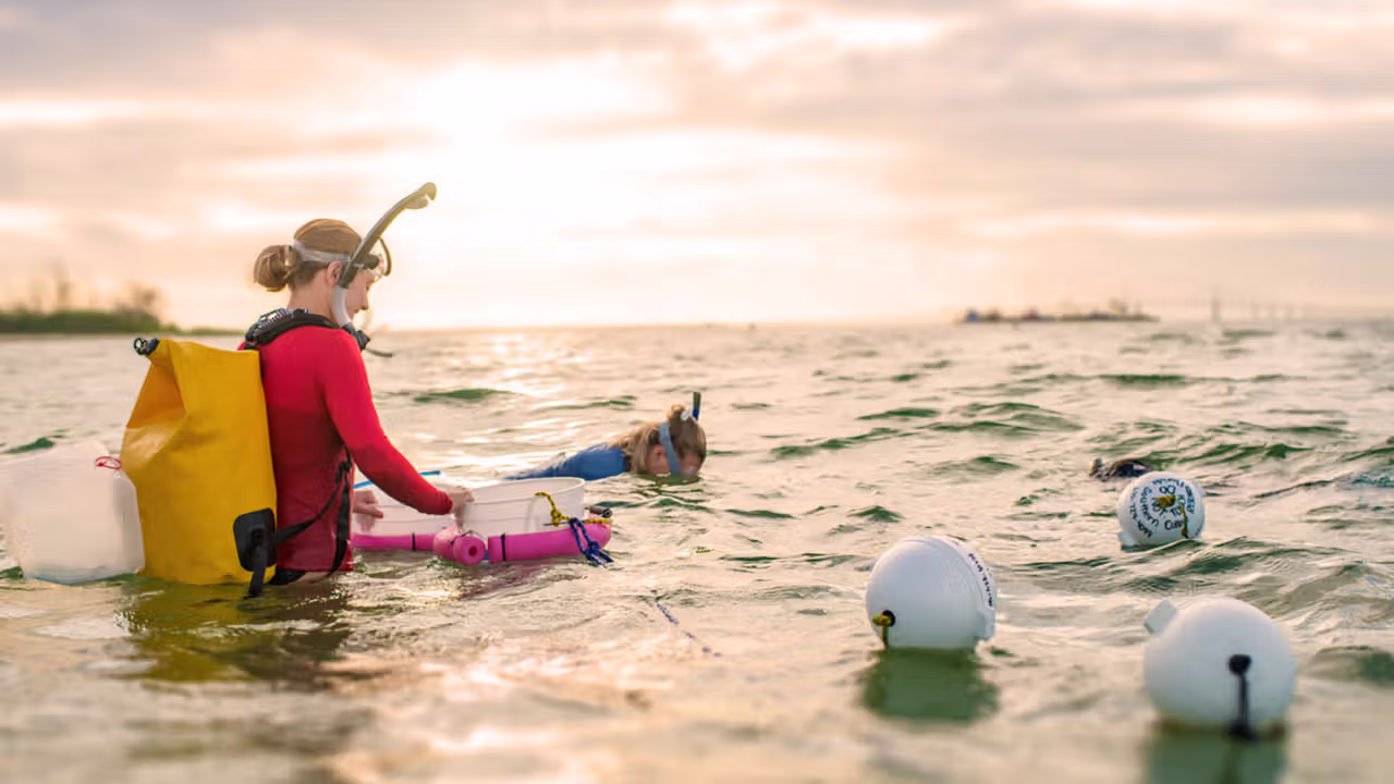 Biological sample collecting research in water