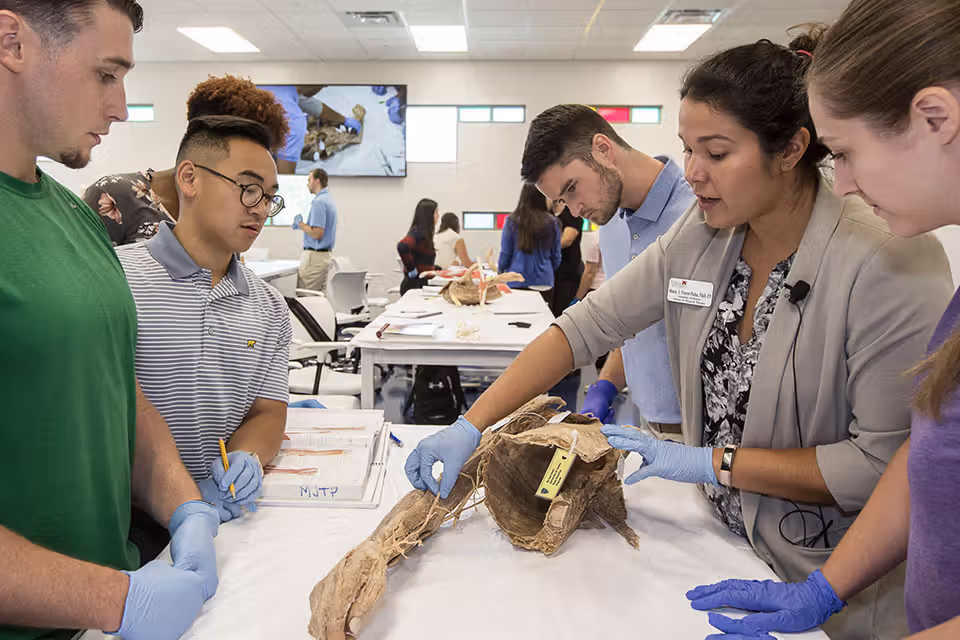 Doctor of Physical Therapy (DPT)
