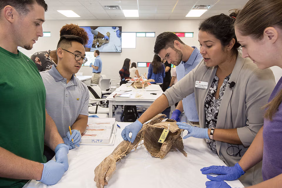 Student and faculty working in the Academic Center for Physical Therapy