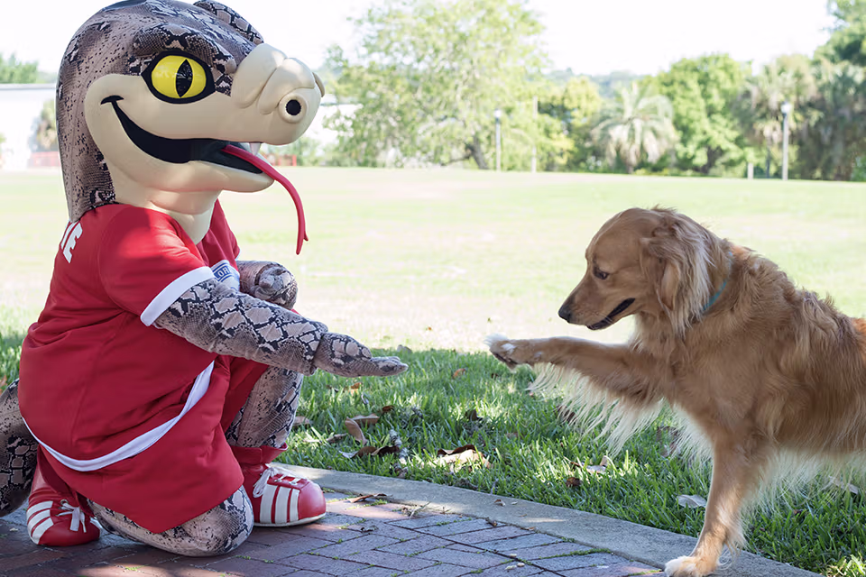 Mocsie giving high five to service dog Sophie