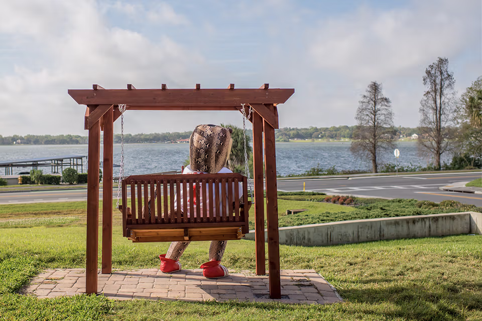 Mocsie sitting on a bench swing looking at lake