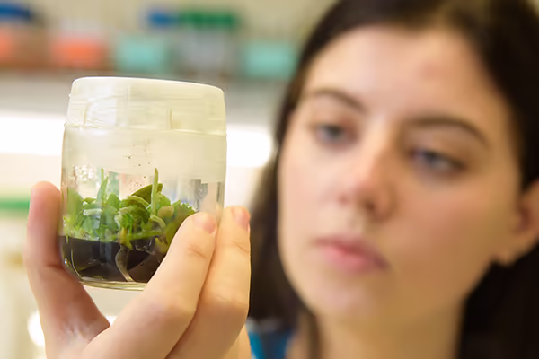 Student studying plant