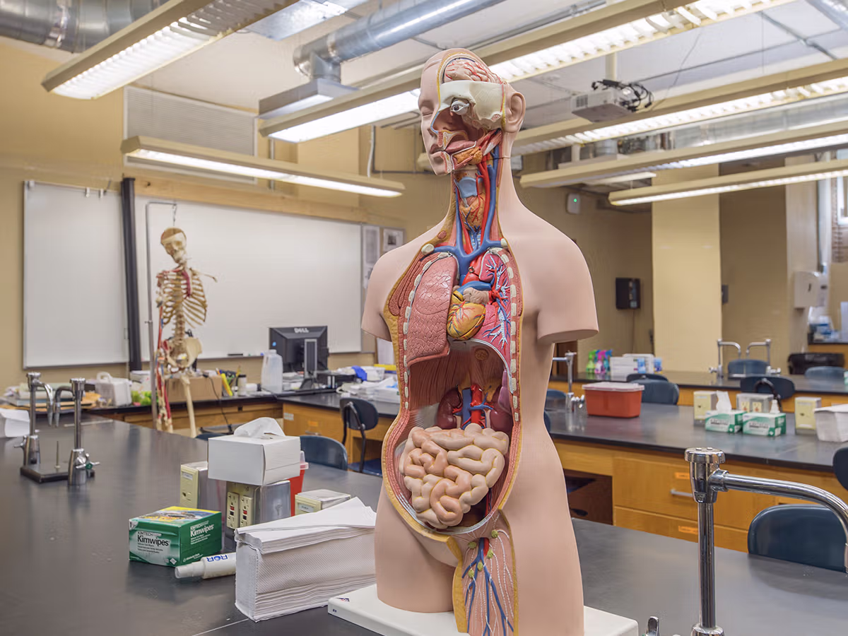 Pre-Health Professional Program