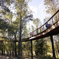 Bonnet Springs boardwalk Bonnet Springs boardwalk