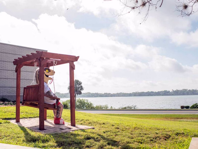 Mocsie sitting on swing looking at lake