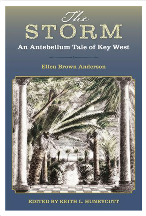 The Storm book cover