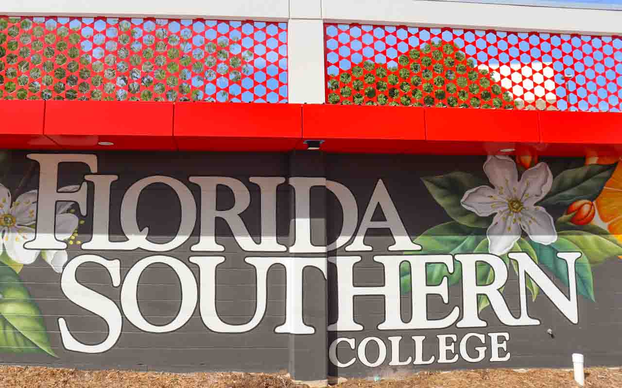 FSC mural on building side