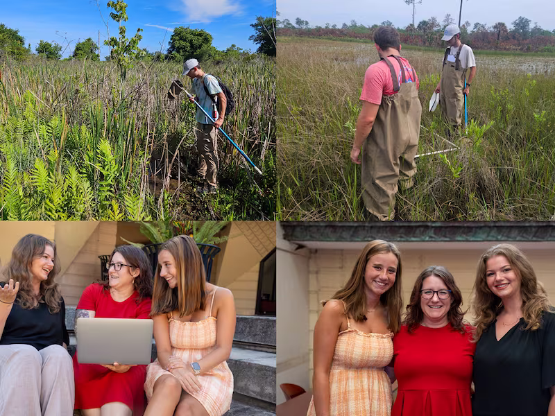Collage of students conducting wetlands field research