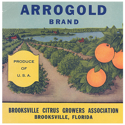 Arrogold Citrus Crate Label