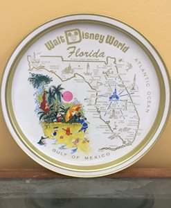 A Disney World Florida plate, showing a map of Florida and several Disney characters.