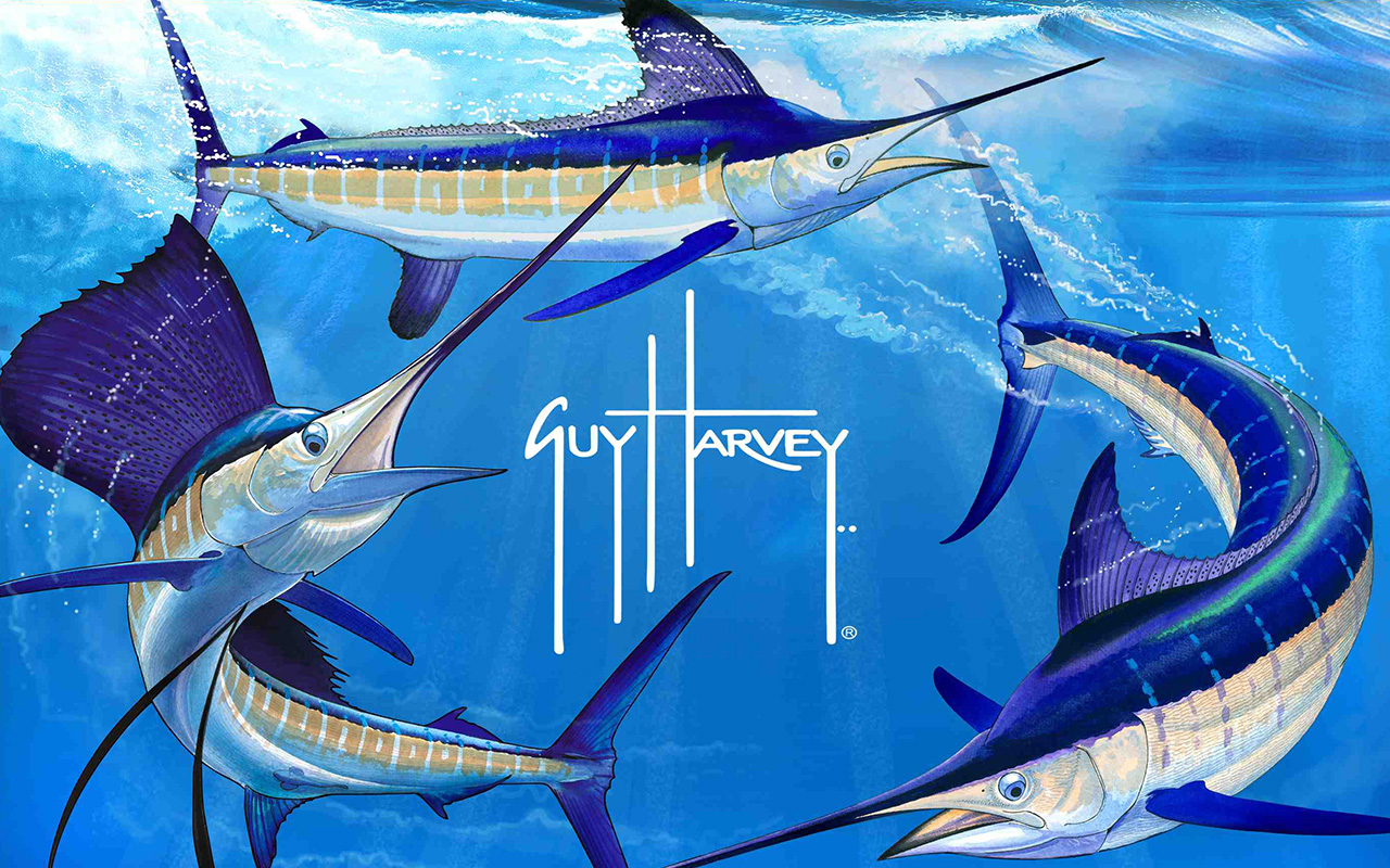 guy harvey university of miami