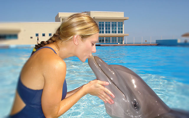 Marine Mammal Training Opportunities